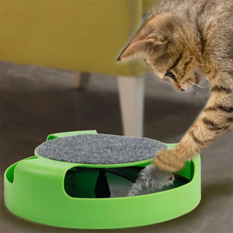 Interactive Cat Roller Toy – Mouse Track & Scratcher